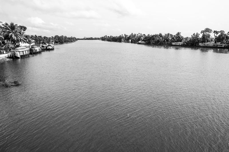 River Pamba in Alappuzha district, Kerala, originating in the Western Ghats, it nourishes dense forests and tangled jungles on high lands, provides irrigation water in the midland plains and finally feeds the Vembanad Lake, which enables the aquatic biodiversity to flourish