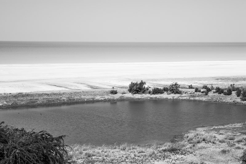 Freshwater amidst salty marshes in Khadir Island, Kutch district, Gujarat